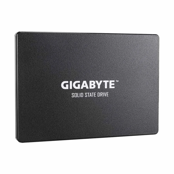 Gigabyte 256GB 2.5-Inch SATA III Internal Solid State Drive